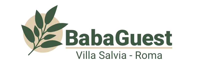BabaGuest Logo