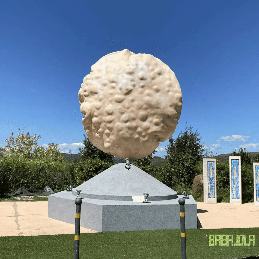 Pane Tzicchi di Giuseppe Carta - Bonorva